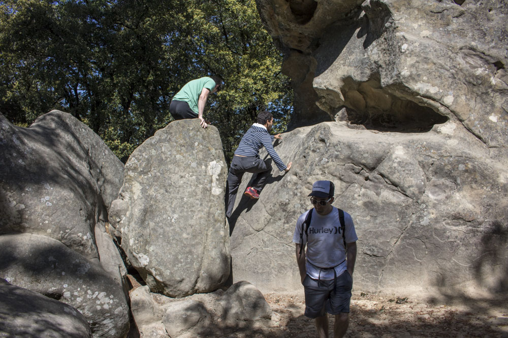Picture of 160430 Castle Rock Hike